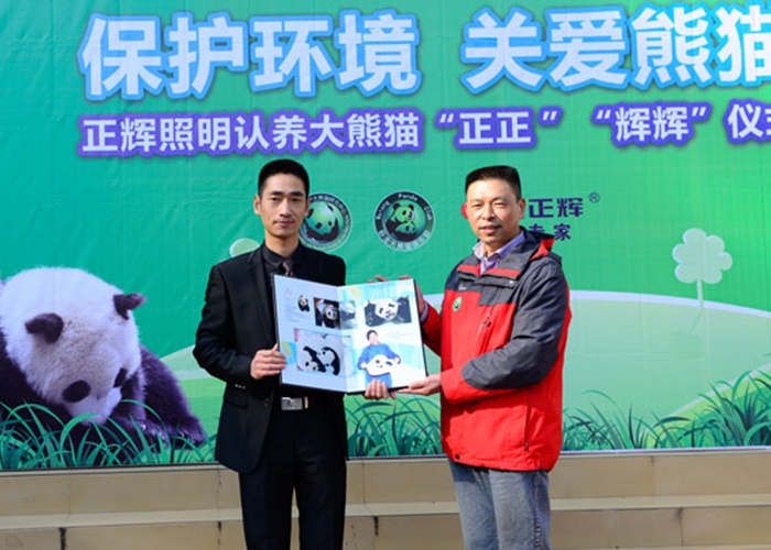 Zhenghui Giant Panda